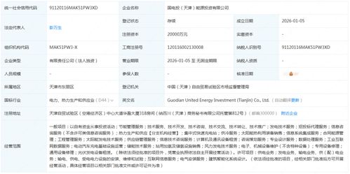 國家電投新能源投資公司成立 引領綠色轉型，加速技術推廣服務