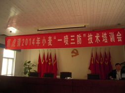 技術推廣服務中心的職能與發展路徑分析